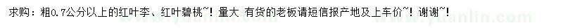 求購粗0.7公分以上紅葉李、紅葉碧桃
