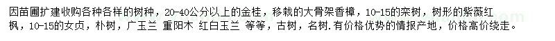 求購(gòu)金桂、香樟、欒樹(shù)等