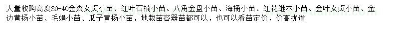 求購金森女貞小苗、紅葉石楠小苗、八角金盤小苗等