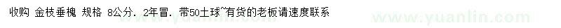求購8公分金枝垂槐