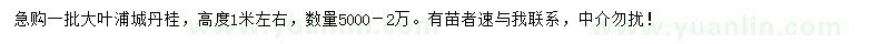 求購高1米大葉浦城丹桂