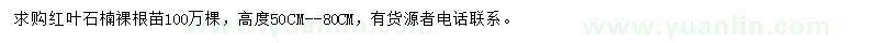 求購(gòu)高50-80公分紅葉石楠