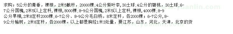 求購青垂、紫葉李、碧桃等