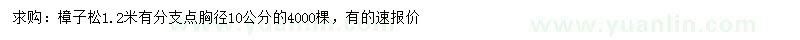 求購胸徑10公分樟子松