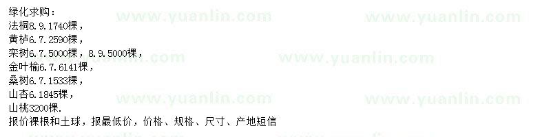 求購法桐、黃櫨、欒樹等