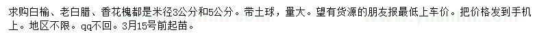 求購白榆、老白臘、香花槐