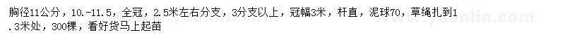 求購胸徑11公分以上欒樹