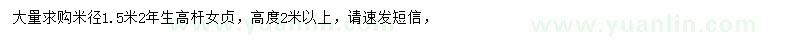求購(gòu)米徑1.5米高桿女貞