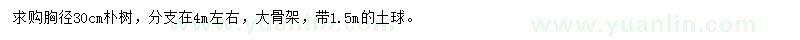 求購(gòu)胸徑30公分樸樹