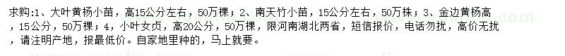 求購(gòu)大葉黃楊小苗、南天竹小苗、金邊黃楊等