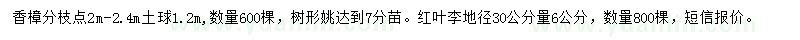 求購胸徑18公分香樟、地徑6公分紅葉李