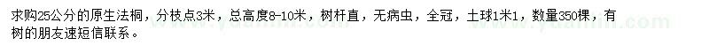 求購25公分原生法桐