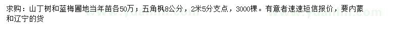 求購(gòu)山丁樹小苗、藍(lán)梅小苗、五角楓