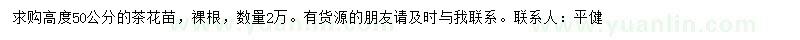 求購高度50公分茶花苗