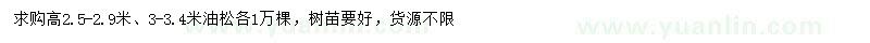 求購(gòu)高2.5-2.9米、3-3.4米油松