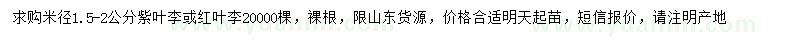 求購米徑1.5-2公分紫葉李