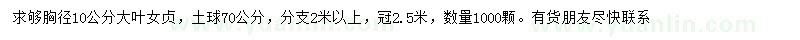 求購胸徑10公分大葉女貞