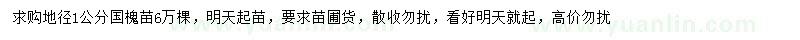 求購(gòu)地徑1公分國(guó)槐苗