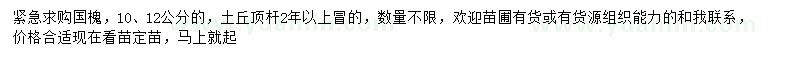 求購10、12公分國槐