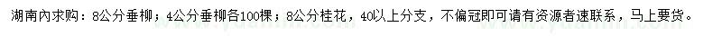 求購(gòu)4、8公分垂柳、8公分桂花