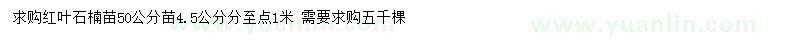 求購(gòu)50公分紅葉石楠
