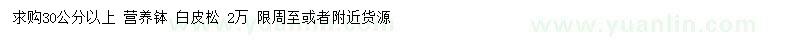 求購(gòu)30公分以上白皮松