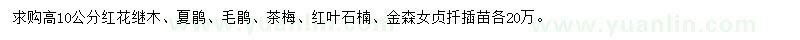 求購(gòu)紅花繼木、夏鵑、毛鵑等