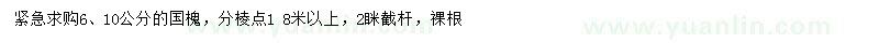 求購6、10公分國槐