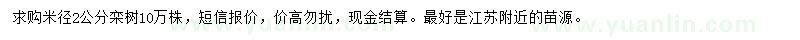 求購米徑2公分欒樹