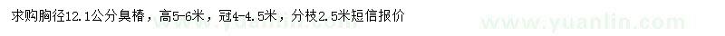 求購(gòu)胸徑12.1公分臭椿
