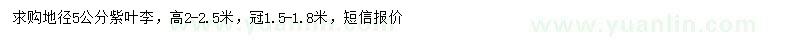 求購(gòu)地徑5公分紫葉李