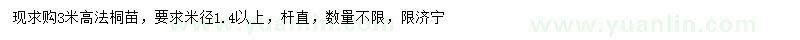 求購高3米法桐