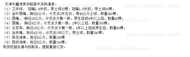 求購衛(wèi)矛球、金葉國槐、國槐等