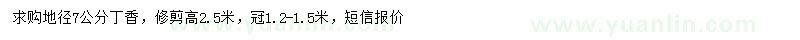 求購地徑7公分丁香