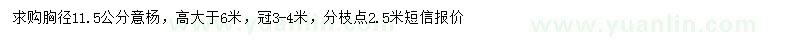 求購胸徑11.5公分意楊
