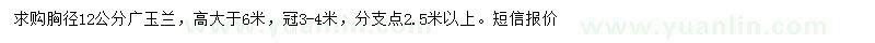 求購胸徑12公分廣玉蘭