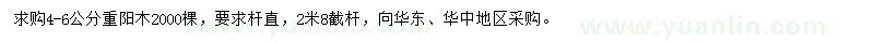 求購4-6公分重陽木