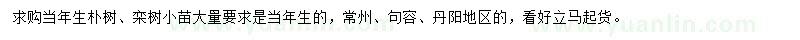 求購當(dāng)年生樸樹、欒樹小苗