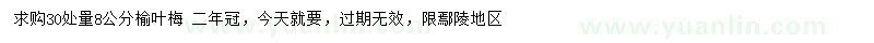 求購(gòu)30處量8公分榆葉梅