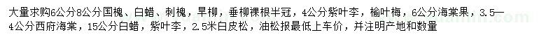 求購國槐、白蠟、刺槐等