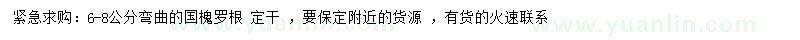 求購6-8公分國槐