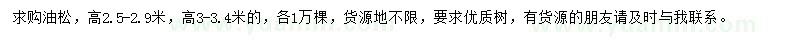 求購高2.5-2.9、3-3.4米油松