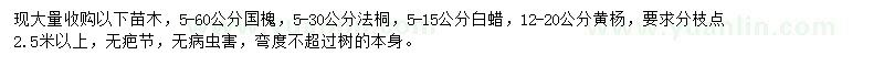 求購(gòu)國(guó)槐、法桐、等白蠟