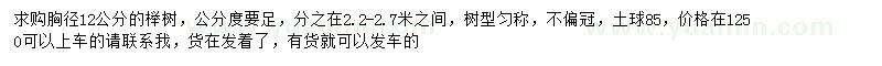 求購胸徑12公分櫸樹