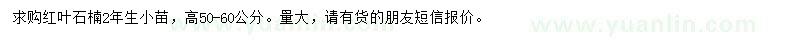 求購高50-60公分紅葉石楠