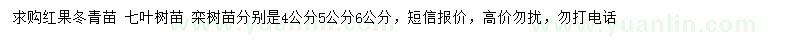 求購紅果冬青苗、七葉樹苗、欒樹苗