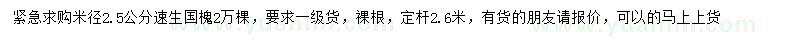 求購米徑2.5公分速生國槐