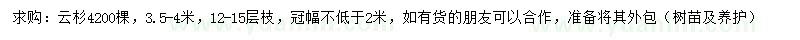 求購3.5-4米云杉