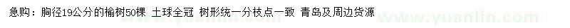 求購(gòu)胸徑19公分榆樹