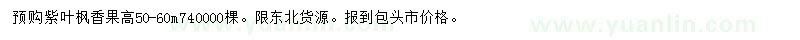 求購高50-60公分紫葉楓香果